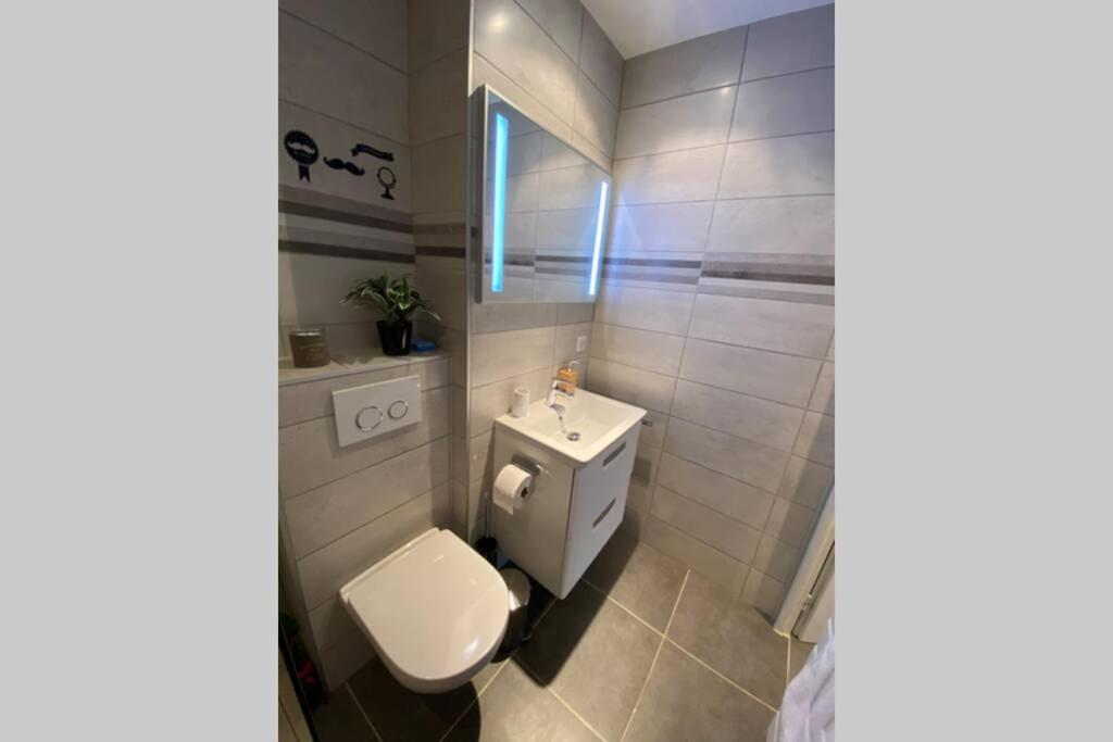 Апартаменти Le Continental Beau T2 Plein Centre + Parking Аннесі Екстер'єр фото
